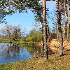 фото "Cолнечный бережок"