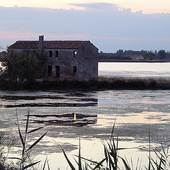 photo "Ghosts House"