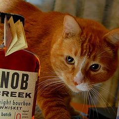 photo "Knob Creek Burbon"