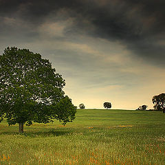 photo "Before a Storm..."