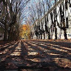 photo "autumn's tunnel.."