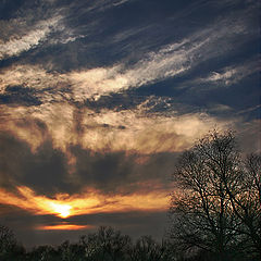 photo "Danube River"