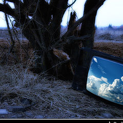 photo "Color dreams"