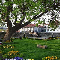photo "Garden in Chaves"