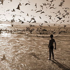 photo "The boy and the birds"