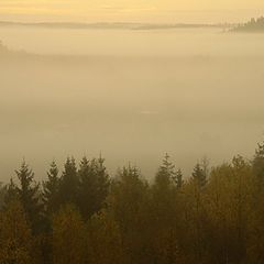 фото "Misty morning (at the side of the swamp)"