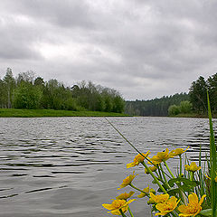 photo "overcast day"