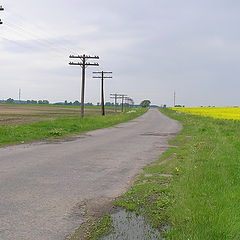 photo "road to Belz"