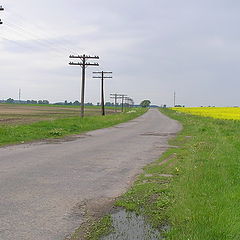 фото "road to Belz"