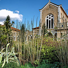 photo "The Trappist Abbey in Latrun"