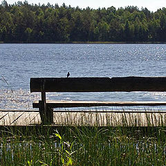 photo "Summer..."