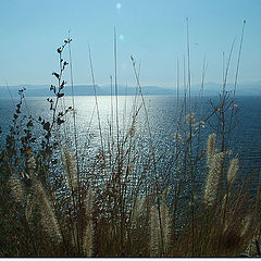 фото "sea of Galilee"