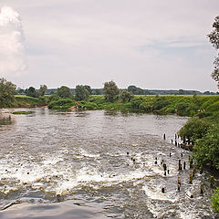 photo "The rapids"