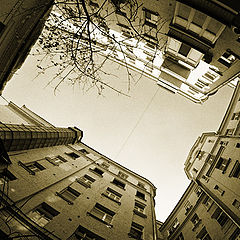 photo "The Moscow court yard:)"