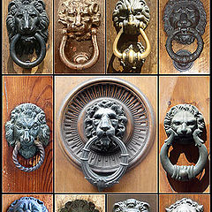 photo "Manual Italian lions"