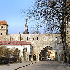 фото "tallin"