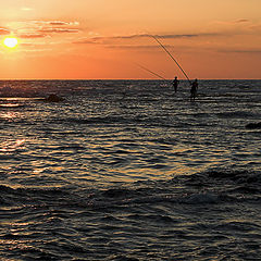 photo "Evening fishing"