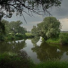 фото "Перед грозой"