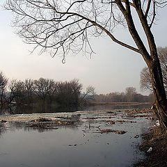 photo "Spring on Nezhegol"