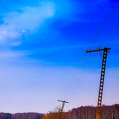 photo "***"