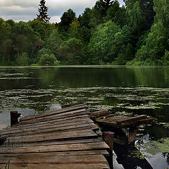 фото "Тишина (два)"