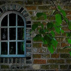 фото "the window"