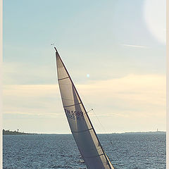 photo "Sailing against the sun"