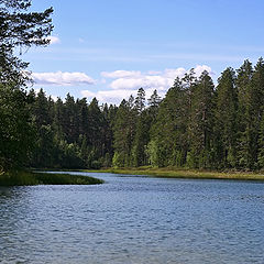 photo "Finnish Summer"