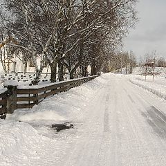 фото "зима"