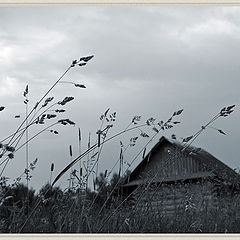 photo "Rural view"