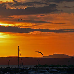 photo "Sunset on quay"