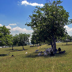 photo "В Раю был я..."