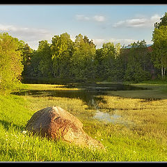 photo "Summer etude"