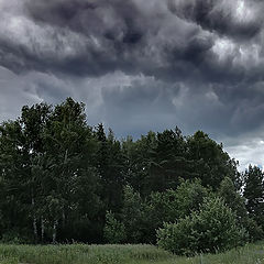 фото "Перед бурей."