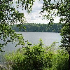 photo "Valdai. Lake the Supper. 2006"