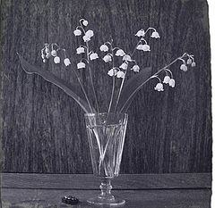 photo "***"