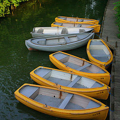 фото "Yellow boats"