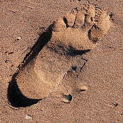 фото "footprint on the sand"