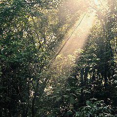 photo "stripe of light"