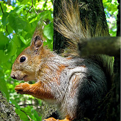 photo "I have dinner!!!"