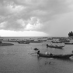 фото "Перед тропическим ливнем"