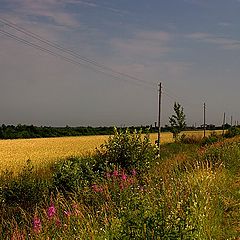 фото "На земле Новгородской"