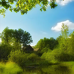 photo "Water color of rural summer"