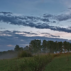 photo "After a rain"