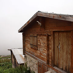 фото "hut at the mountain"