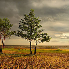 фото "Закат на Финском заливе после грозы 2"