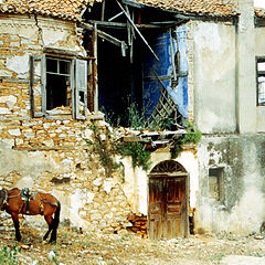 фото "Horse and house"