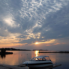 photo "One northern  evening of july..."