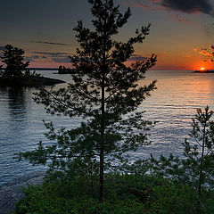 photo "Farewell To The Day of July"