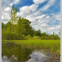 фото "Пополам"